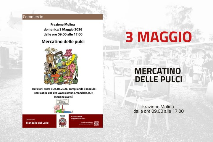 l'immagine ha puro scopo descrittivo dell'evento