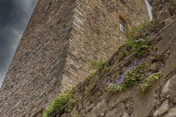 Torre Maggina